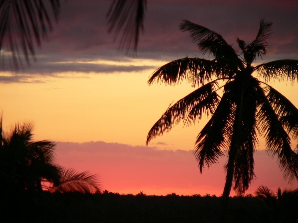Blue Moon Beach Holiday Resort Inhambane Extérieur photo