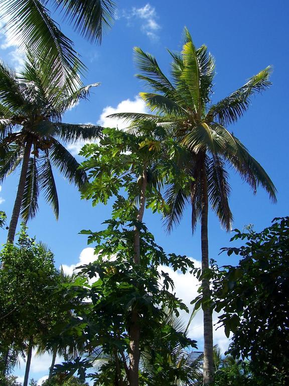Blue Moon Beach Holiday Resort Inhambane Extérieur photo